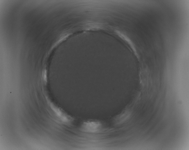 X0000082940067200702011316