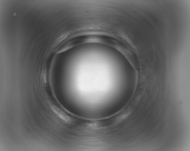 X0000082940068200702011316