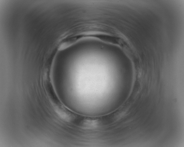 X0000082940071200702011316