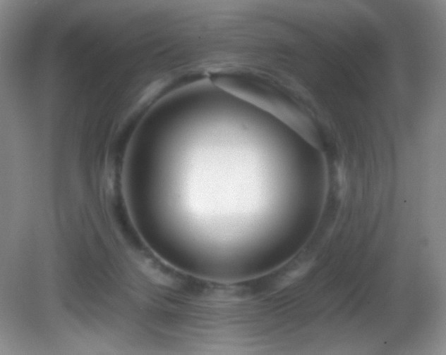 X0000082940072200702011316