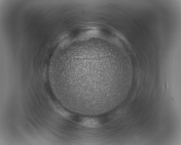 X0000082940073200702011316
