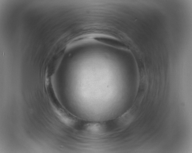 X0000082940074200702011316
