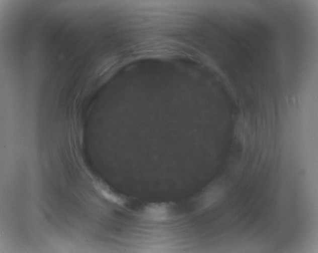 X0000082940076200702011316