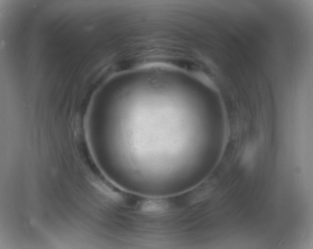 X0000082940077200702011316