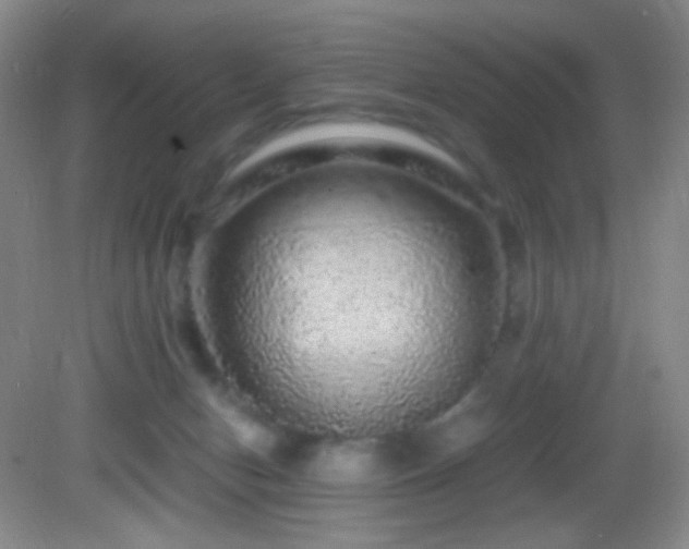 X0000082940078200702011316