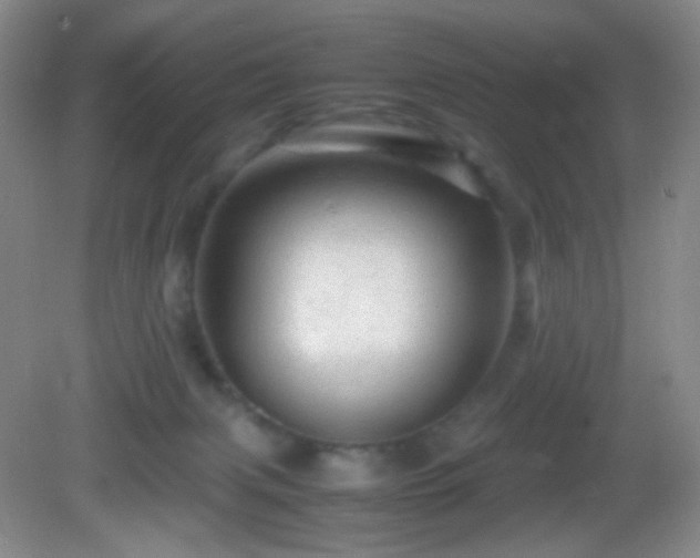 X0000082940079200702011317
