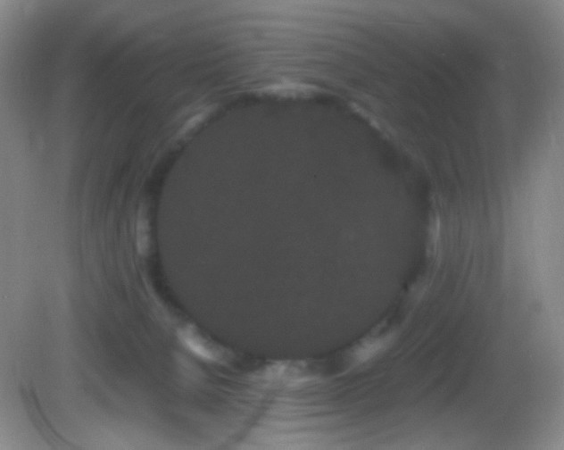 X0000082940080200702011317