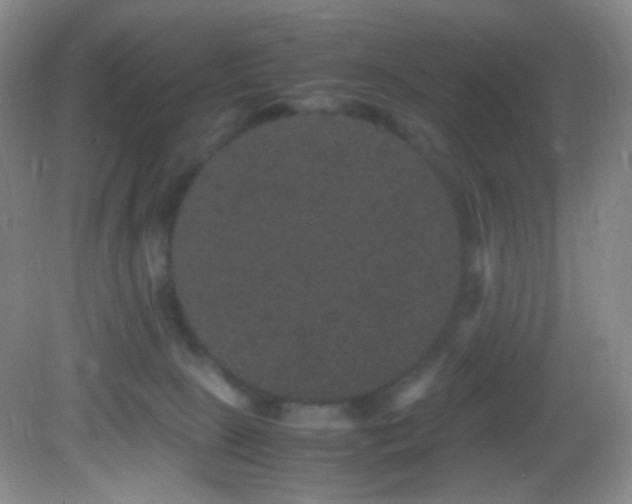 X0000082940081200702011317