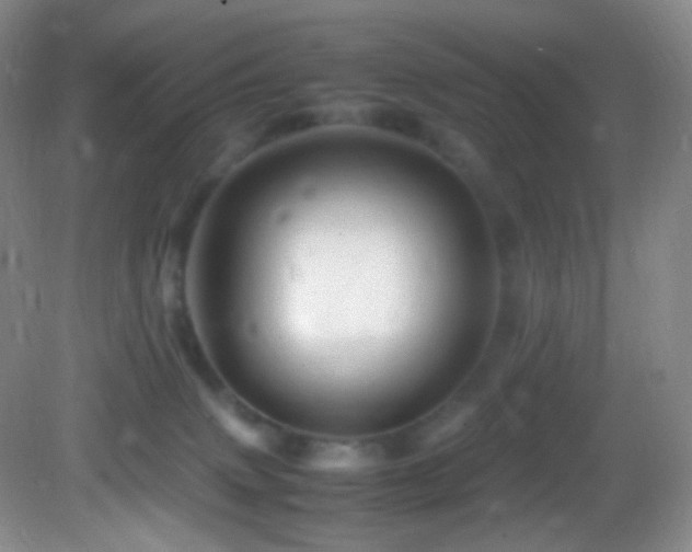 X0000082940083200702011317