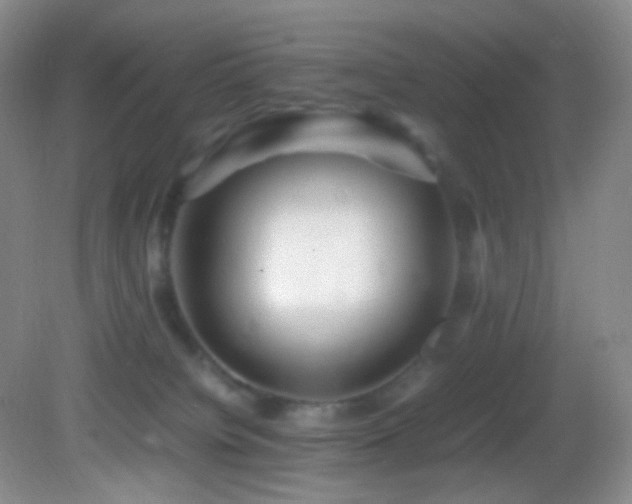 X0000082940084200702011317