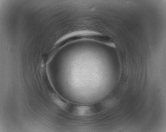 X0000082940085200702011317