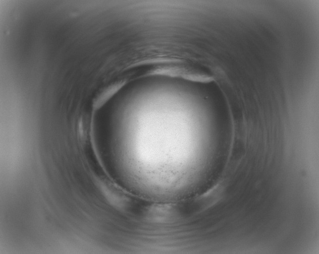 X0000082940086200702011317