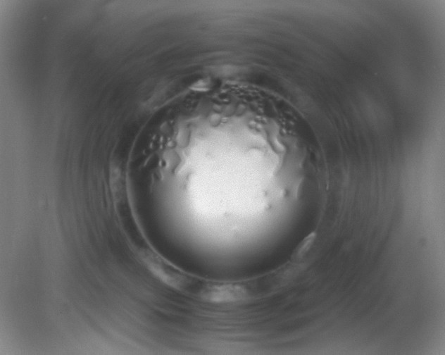 X0000082940087200702011317