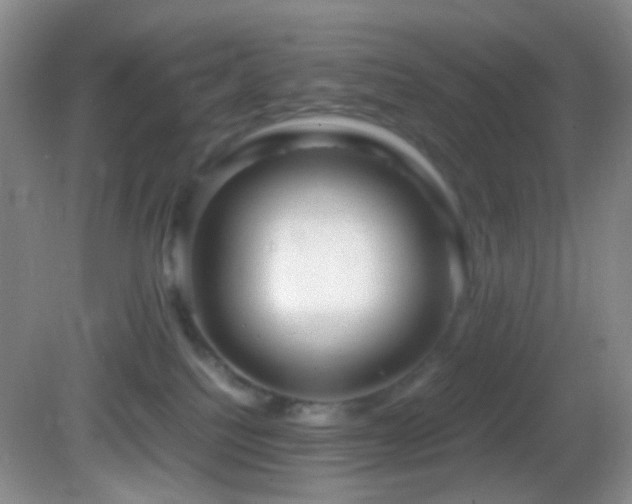 X0000082940088200702011317