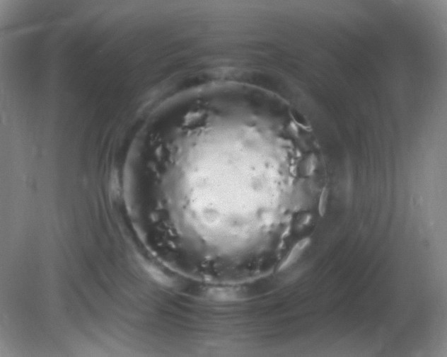 X0000082940089200702011317