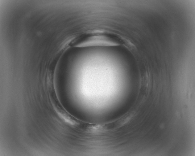 X0000082940092200702011317