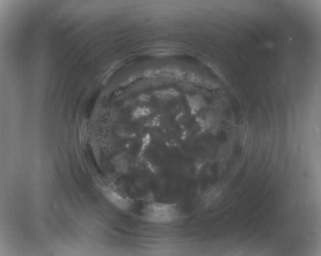 X0000082940093200702011317