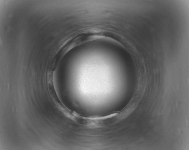 X0000082940096200702011317