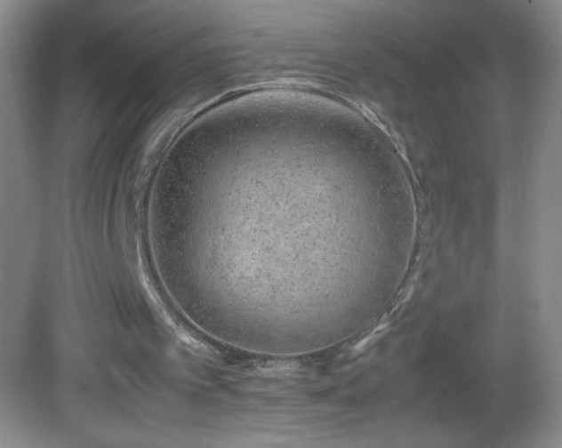 X0000082940097200702011316
