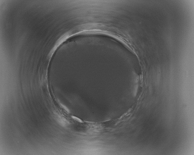 X0000082940099200702011316