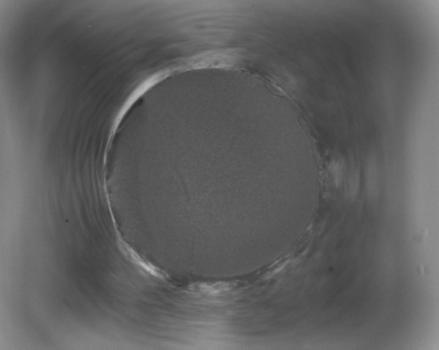 X0000082940100200702011316
