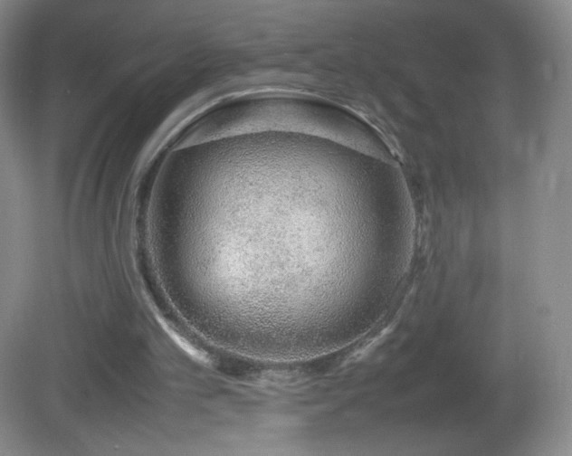 X0000082940101200702011316