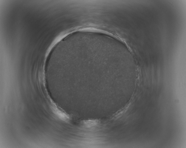 X0000082940102200702011316