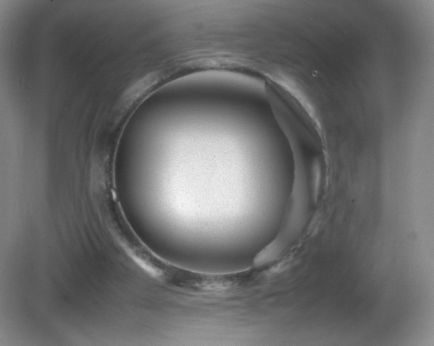 X0000082940105200702011316