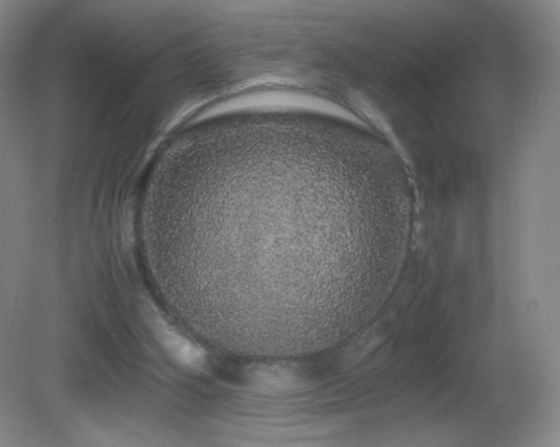 X0000082940106200702011316