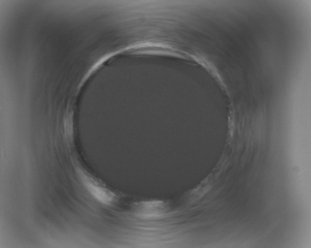 X0000082940108200702011316