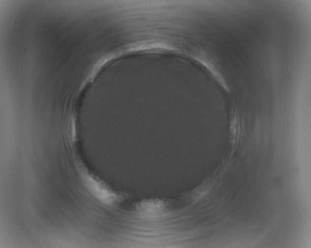 X0000082940110200702011316