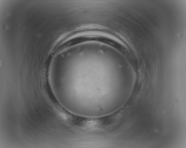 X0000082940111200702011316