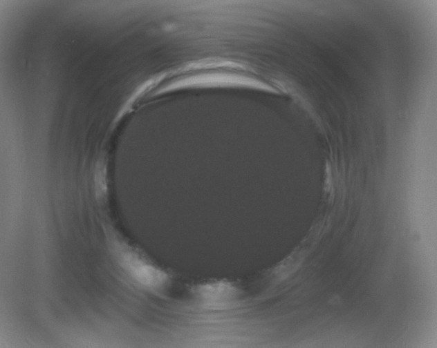 X0000082940112200702011316