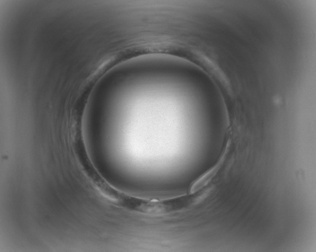 X0000082940113200702011316