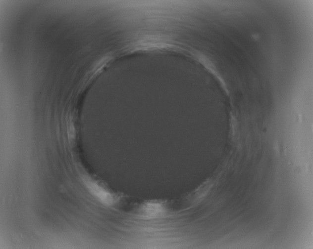 X0000082940114200702011316