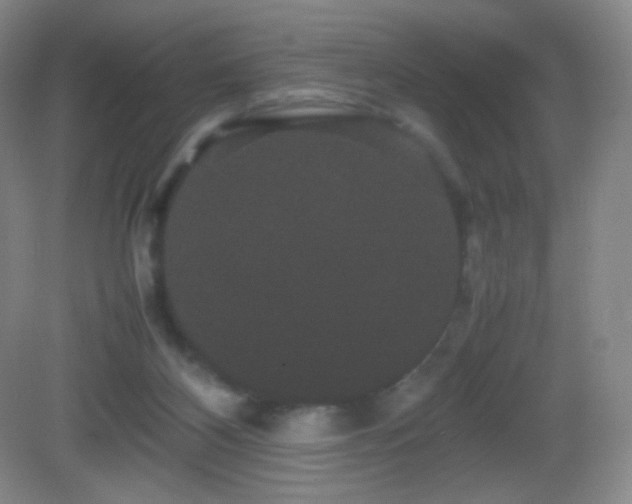 X0000082940116200702011316