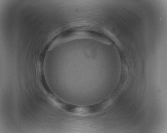 X0000082940117200702011316