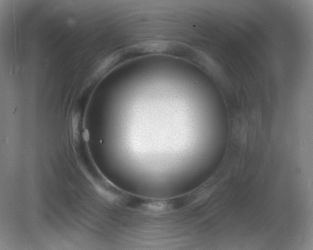 X0000082940118200702011316