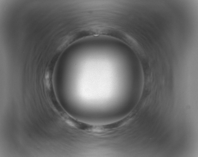 X0000082940121200702011316