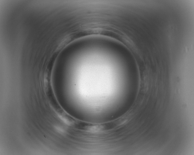 X0000082940122200702011316