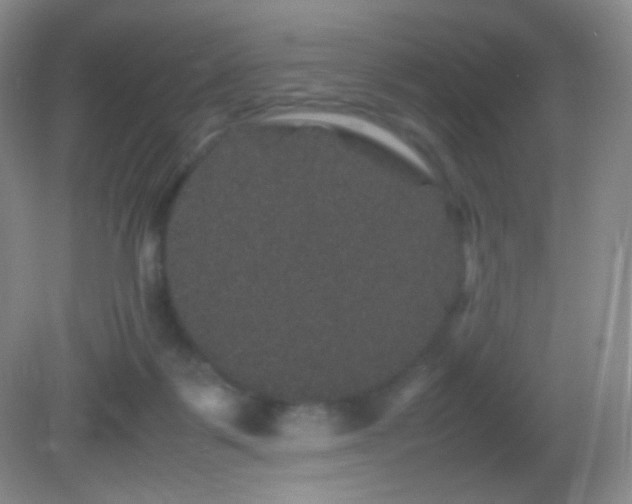 X0000082940123200702011316