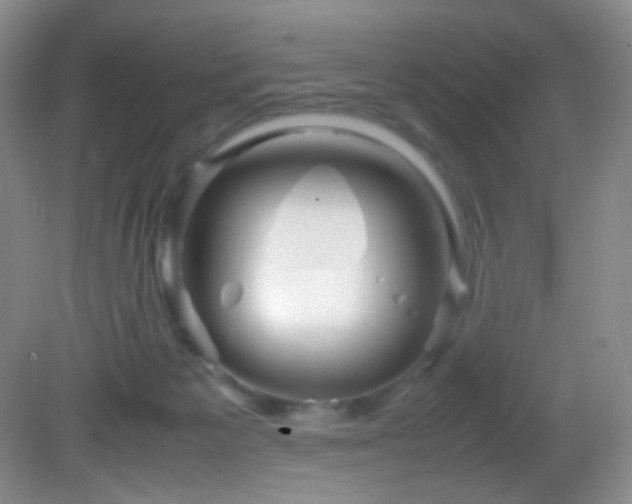 X0000082940125200702011316