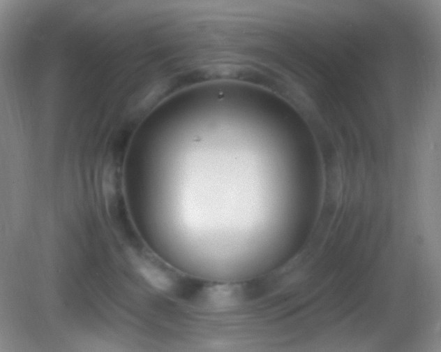 X0000082940126200702011315