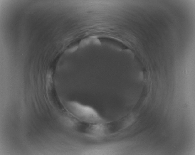 X0000082940127200702011315