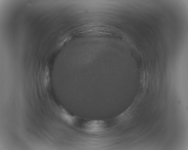 X0000082940128200702011315