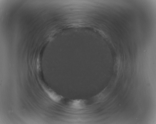 X0000082940130200702011315