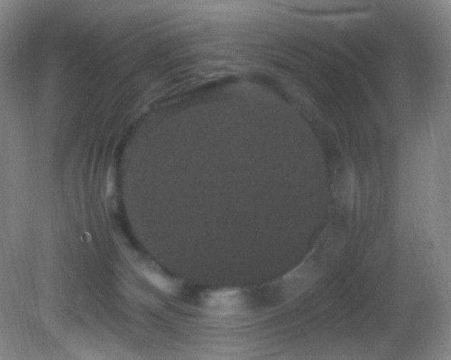 X0000082940132200702011315