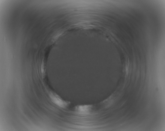 X0000082940134200702011315