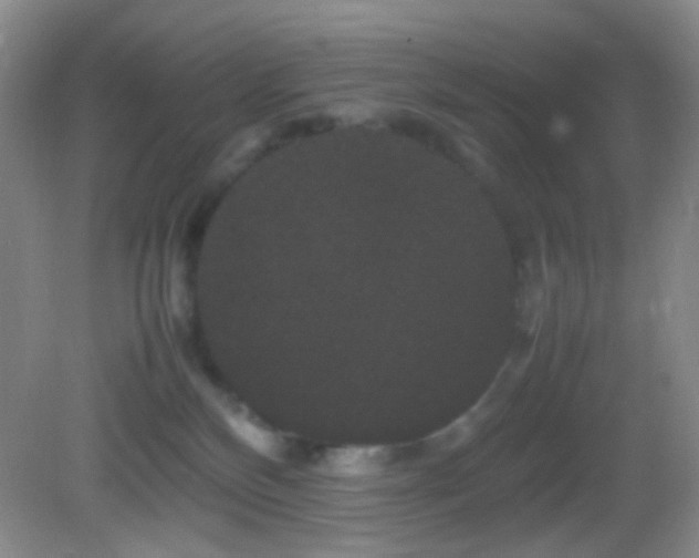 X0000082940136200702011315