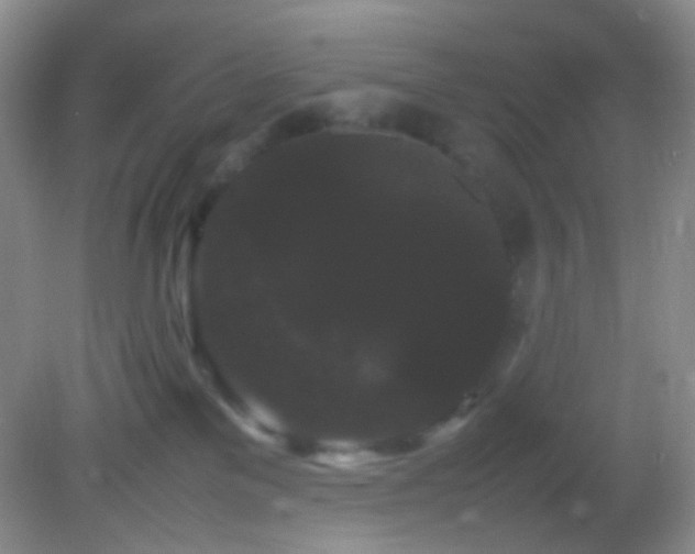 X0000082940137200702011315